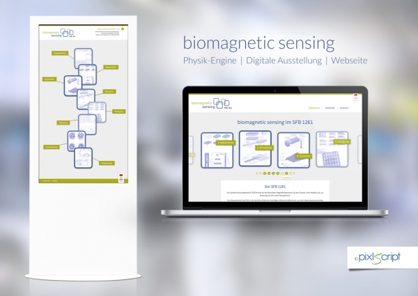 Der Sonderfachbereich biomagnetic sensing kann in einer digitalen Ausstellung auf einem 50-Zoll großen Touchscreen erkundet werden.